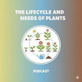The Lifecycle and Needs of Plants
